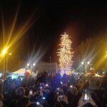 Τρίκαλα:-Φωταγωγήθηκε-το-ψηλότερο-φυσικό-χριστουγεννιάτικο-δέντρο
