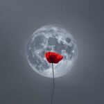 Έκθεση-φωτογραφίας-«Σταγόνες-Μελάνι-σε-Βαμβάκι»-στα-Τρίκαλα