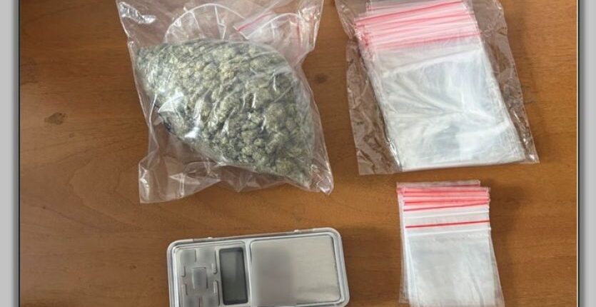 Συνελήφθησαν-στα-Τρίκαλα-δυο-αλλοδαποί-ηλικίας-38-και-17-ετών-για-παράβαση-της-νομοθεσίας-περί-ναρκωτικών