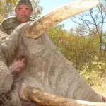 Αφρική:-Αγέλη-ελεφάντων-ποδοπάτησε-μέχρι-θανάτου-εκατομμυριούχο-κυνηγό-σε-σαφάρι