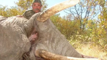 Αφρική:-Αγέλη-ελεφάντων-ποδοπάτησε-μέχρι-θανάτου-εκατομμυριούχο-κυνηγό-σε-σαφάρι