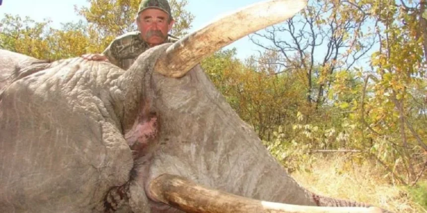 Αφρική:-Αγέλη-ελεφάντων-ποδοπάτησε-μέχρι-θανάτου-εκατομμυριούχο-κυνηγό-σε-σαφάρι