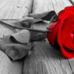 Συλλυπητήριο-μήνυμα-του-Συλλόγου-Εκπαιδευτικών-Πρωτοβάθμιας-Εκπαίδευσης-Τρικάλων-για-το-θάνατο-του-57χρονου-Νικόλαου-Σπανού