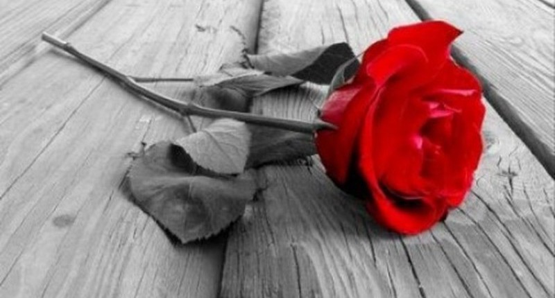 Συλλυπητήριο-μήνυμα-του-Συλλόγου-Εκπαιδευτικών-Πρωτοβάθμιας-Εκπαίδευσης-Τρικάλων-για-το-θάνατο-του-57χρονου-Νικόλαου-Σπανού