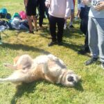 Άλλοι-έτρεξαν,-άλλος-κουράστηκε