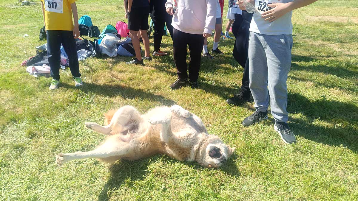 Άλλοι-έτρεξαν,-άλλος-κουράστηκε