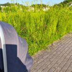 Τρίκκη:-«Ζούγκλα»-τα-πεζοδρόμια-του-οικισμού