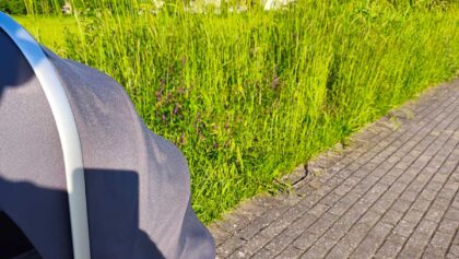 Τρίκκη:-«Ζούγκλα»-τα-πεζοδρόμια-του-οικισμού