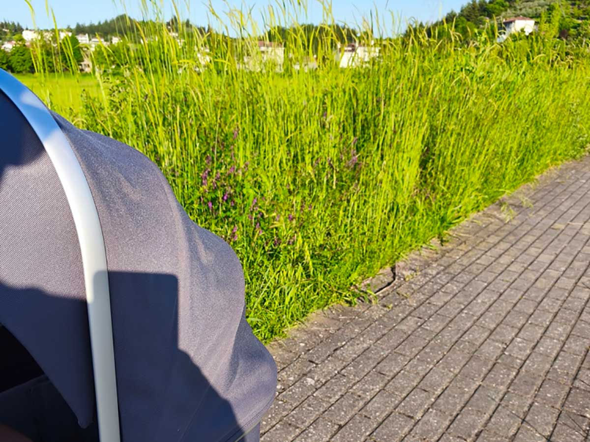 Τρίκκη:-«Ζούγκλα»-τα-πεζοδρόμια-του-οικισμού