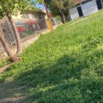 «Ζούγκλα»-η-αυλή-στο-9ο-Δημοτικό-Σχολείο-Τρικάλων