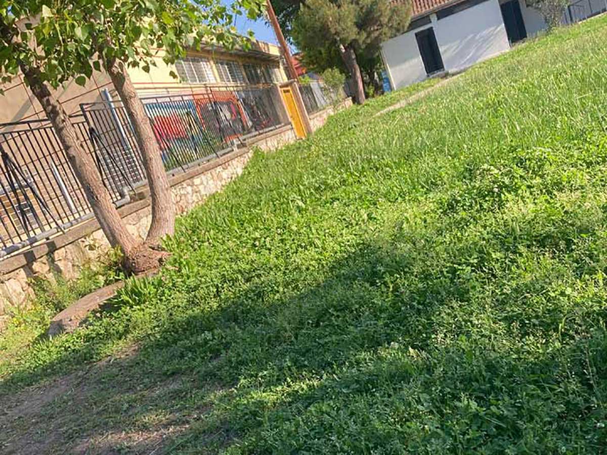 «Ζούγκλα»-η-αυλή-στο-9ο-Δημοτικό-Σχολείο-Τρικάλων