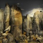 Θέση-εργασίας-στο-Μουσείο-Φυσικής-Ιστορίας-Μετεώρω-και-Μουσείο-Μανιταριών