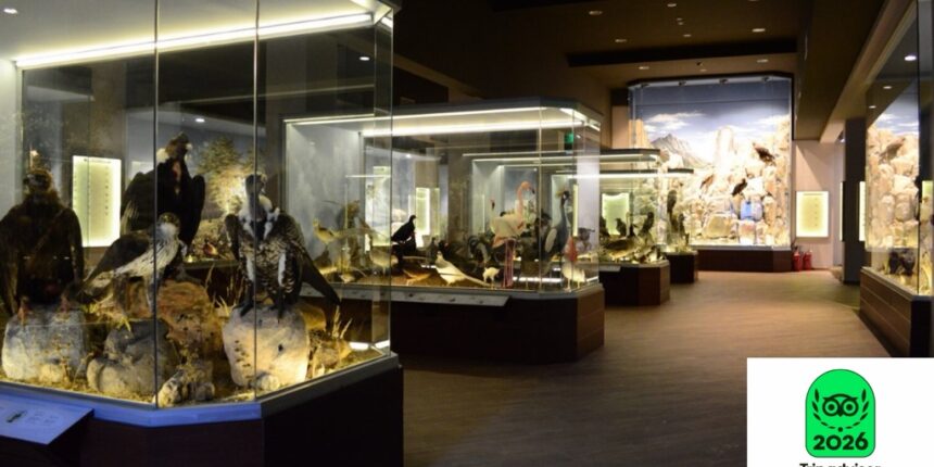 Διεθνής-αναγνώριση-για-το-Μουσείο-Φυσικής-Ιστορίας-Μετεώρων-και-Μουσείο-Μανιταριών-–-Πέμπτο-στην-Ευρώπη