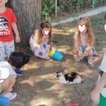 «Γίνε-εθελοντής-για-τα-ζώα»-στο-33ο-Νηπιαγωγείο-Τρικάλων-με-τη-συνδρομή-του-Δ.-Τρικκαίων-(ΦΩΤΟ)