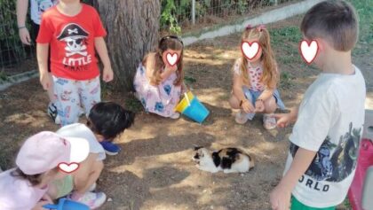 «Γίνε-εθελοντής-για-τα-ζώα»-στο-33ο-Νηπιαγωγείο-Τρικάλων-με-τη-συνδρομή-του-Δ.-Τρικκαίων-(ΦΩΤΟ)