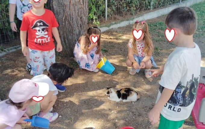 «Γίνε-εθελοντής-για-τα-ζώα»-στο-33ο-Νηπιαγωγείο-Τρικάλων-με-τη-συνδρομή-του-Δ.-Τρικκαίων-(ΦΩΤΟ)