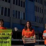 greenpeace:-Τι-φάση-με-τα-μεταλλαγμένα,-κύριε-Μητσοτάκη;