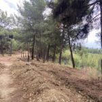 Τρίκαλα:-Απαγορεύεται-η-είσοδος-στα-δάση-το-Σάββατο