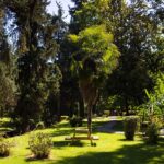 Τρίκαλα:-Απαγόρευση-εισόδου-στα-δάση-και-την-Κυριακή-23-Αυγούστου