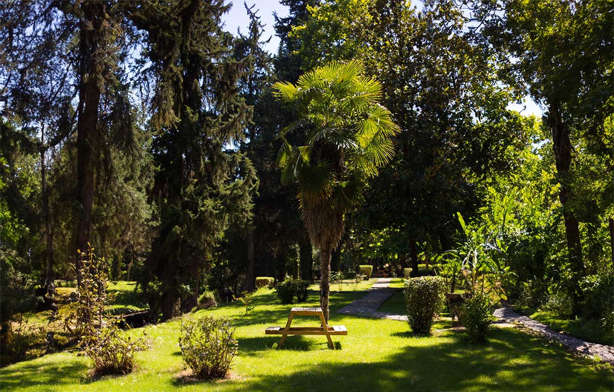 Τρίκαλα:-Απαγόρευση-εισόδου-στα-δάση-και-την-Κυριακή-23-Αυγούστου
