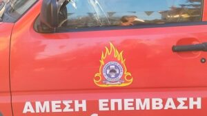 Πυρκαγιά-από-κεραυνό-σε-δύσβατη-περιοχή-στο-Δροσοχώρι-Τρικάλων-–-Κινητοποίηση-της-Πυροσβεστικής