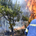 Πολιτική-Προστασία-Περιφέρειας-Θεσσαλίας:-Ετοιμότητα-λόγω-υψηλών-θερμοκρασιών-και-κινδύνου-πυρκαγιάς,-αύριο-Τετάρτη-26-Αυγούστου