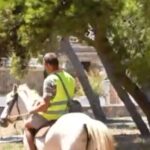 Απίστευτο-σκηνικό-στην-Άνδρο:-Κλήση-700-ευρώ-σε-αναβάτη-αλόγου-μετά-από-αλκοτέστ