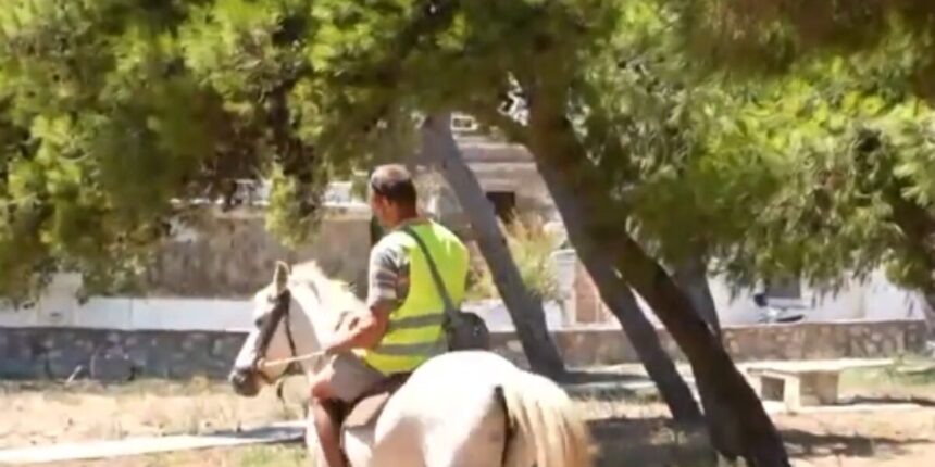 Απίστευτο-σκηνικό-στην-Άνδρο:-Κλήση-700-ευρώ-σε-αναβάτη-αλόγου-μετά-από-αλκοτέστ