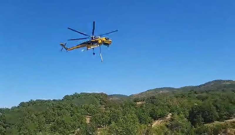 Φωτιά-στο-Αγιόφυλλο-Τρικάλων:-54-πυροσβέστες-και-ελικόπτερο