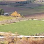 ΥΠΑΑΤ-ΑΑΔΕ:-Νέες-βελτιώσεις-στο-myagro-–-Τι-ισχύει-για-τους-ΚΑΕΚ-–-Αλλαγές-σε-προθεσμίες