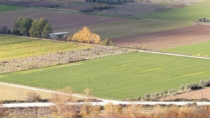 ΥΠΑΑΤ-ΑΑΔΕ:-Νέες-βελτιώσεις-στο-myagro-–-Τι-ισχύει-για-τους-ΚΑΕΚ-–-Αλλαγές-σε-προθεσμίες