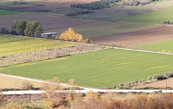 ΥΠΑΑΤ-ΑΑΔΕ:-Νέες-βελτιώσεις-στο-myagro-–-Τι-ισχύει-για-τους-ΚΑΕΚ-–-Αλλαγές-σε-προθεσμίες